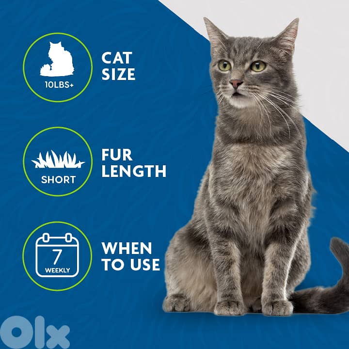 FURminator deShedding Tool – Medium/Large Short-Hair Cats | Reduces Sh 4