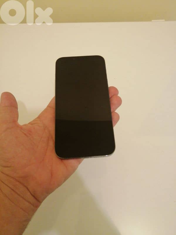 iPhone 13 pro max 1
