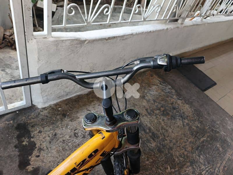 bicyclette  Germany 20 5