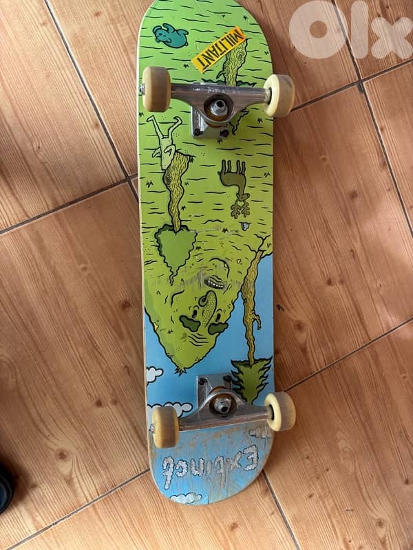 skateboard 0
