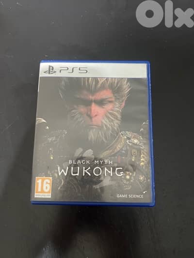 Black myth wukong used