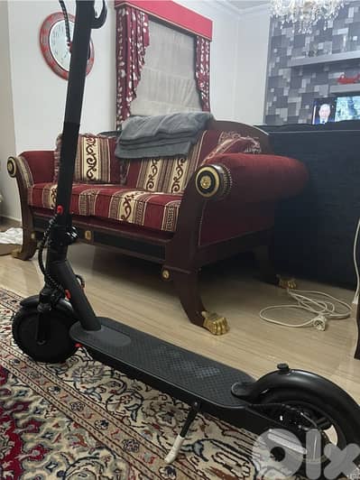 electric scooter