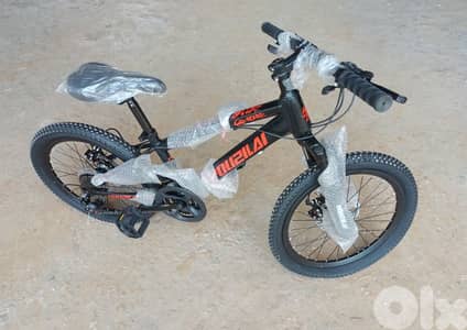 mountain bike 20 inch