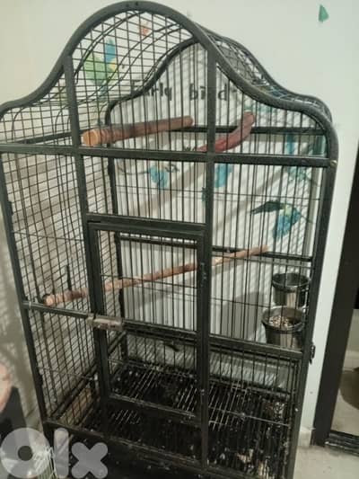 big parrot cage