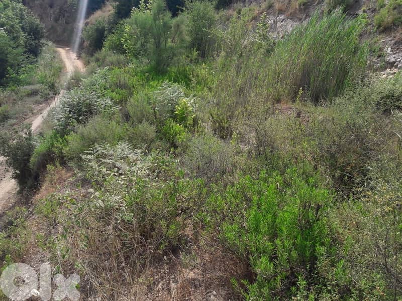 3500 Sqm Land For Sale In Ras El Maten ارض للبيع في راس المتن 1