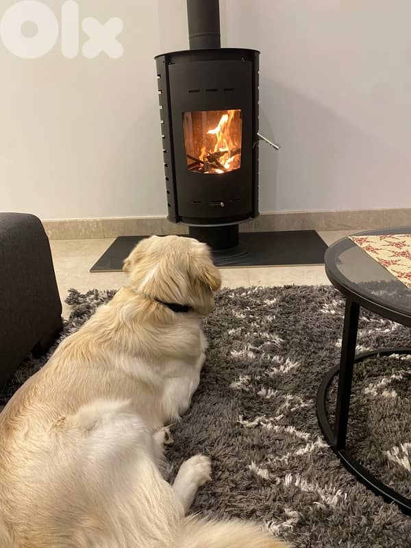 Wood Stove مدفأة حطب 1