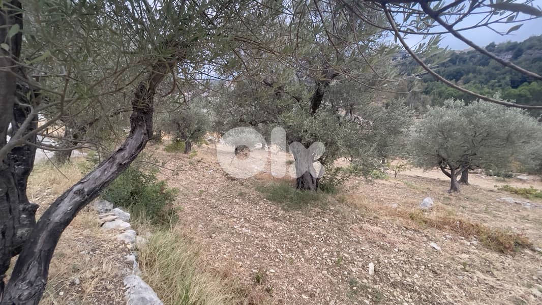 RWB303CA - Land for sale in Lehfed Jbeil 2