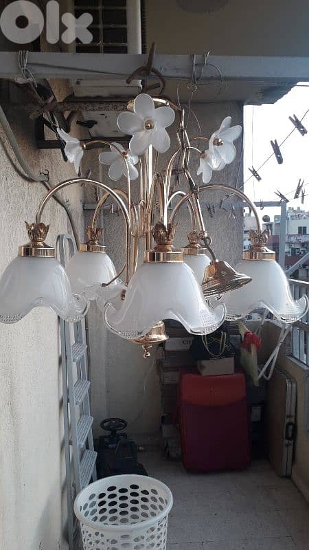 طرابلس لبنان أبي سمراء الحاووظ 4
