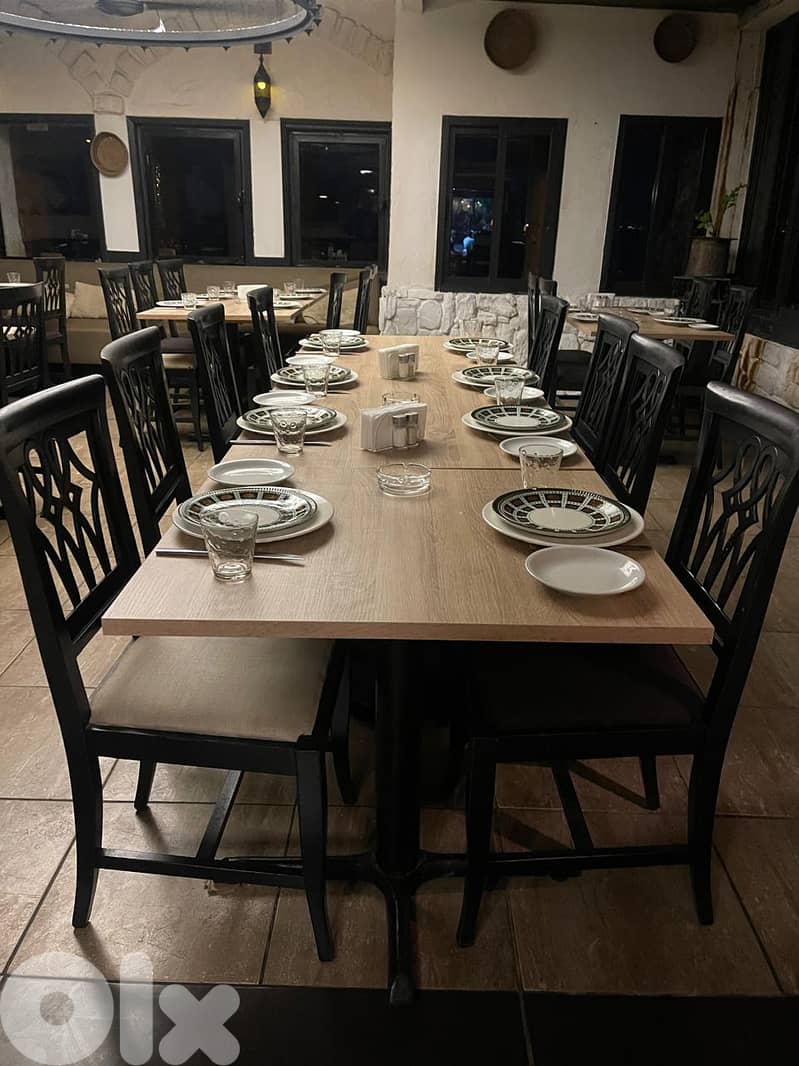 Dining Chairs 1