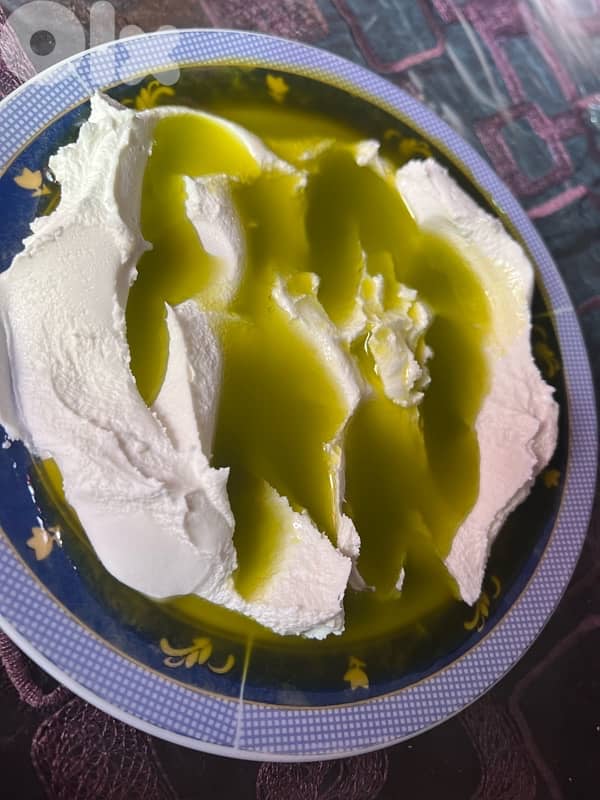 زيت زيتون جديد 2