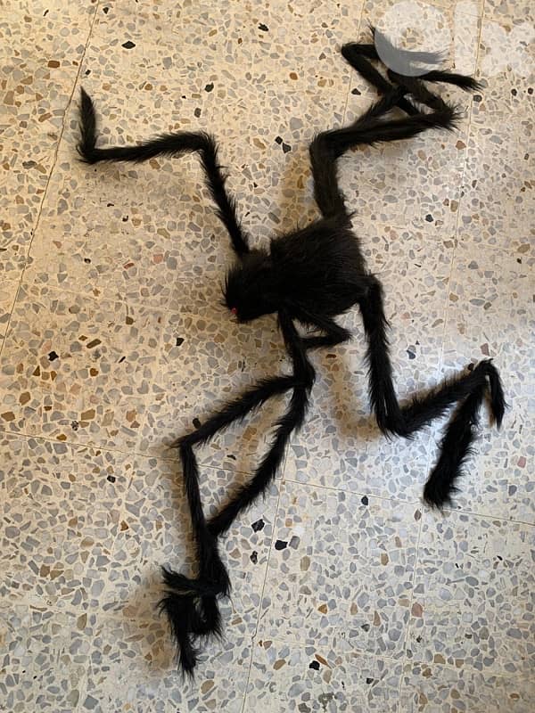 Halloween decoration 16