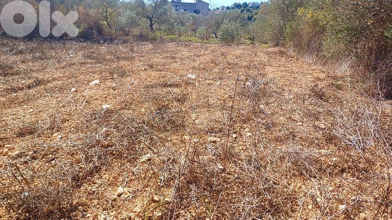lands for sale in Kfifaneارض للبيع في كفيفان 1