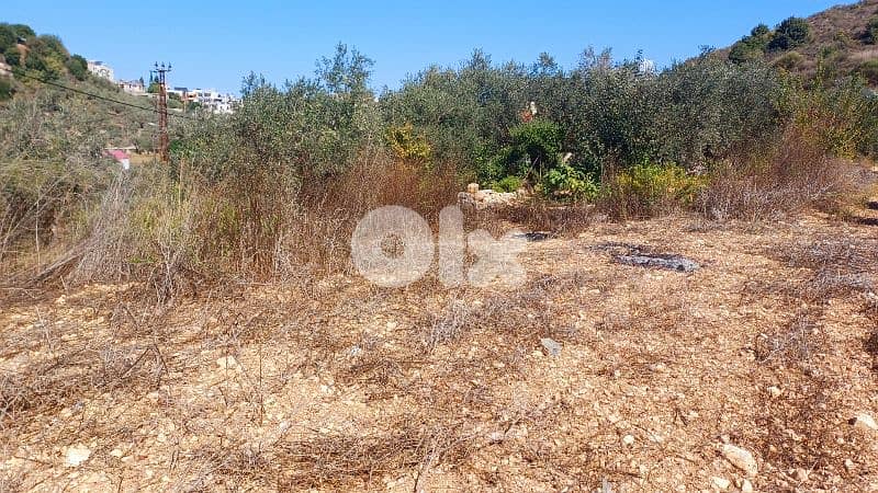 lands for sale in Kfifaneارض للبيع في كفيفان 2