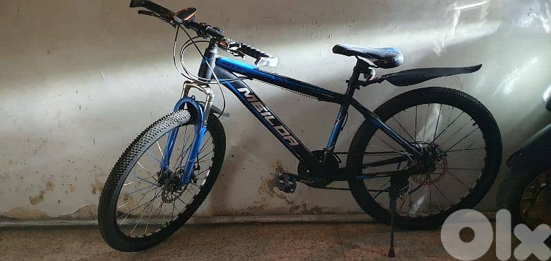 bicycle 1