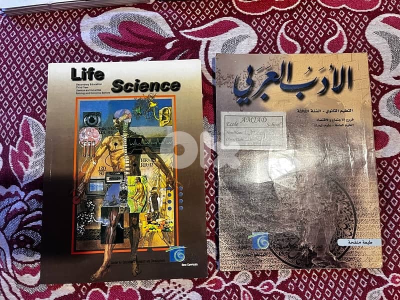 grade 11 and 12 books 9