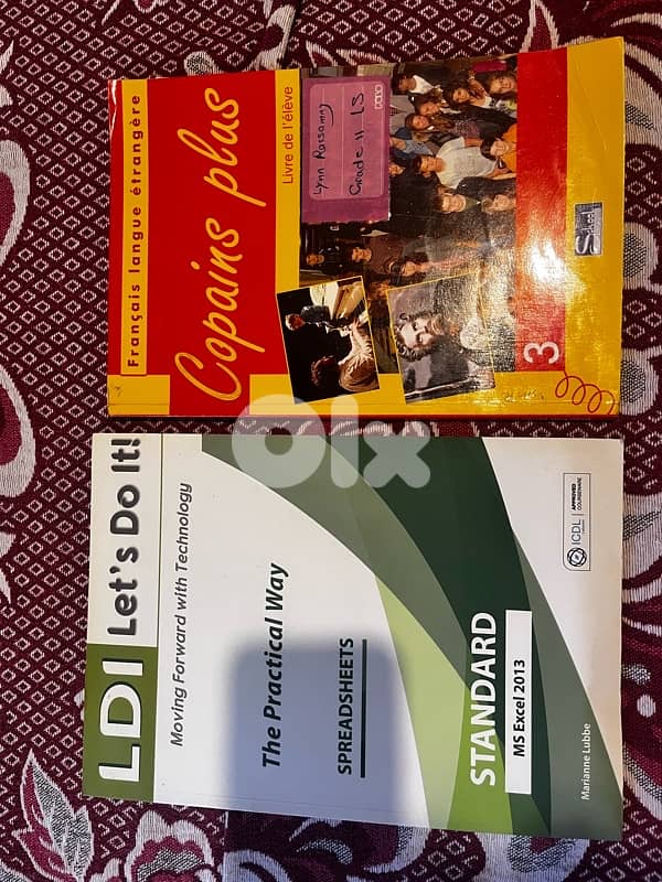 grade 11 and 12 books 11