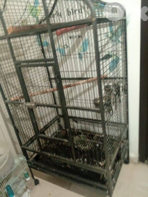 big cage for parrot 1