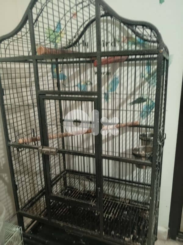 big cage for parrot 3