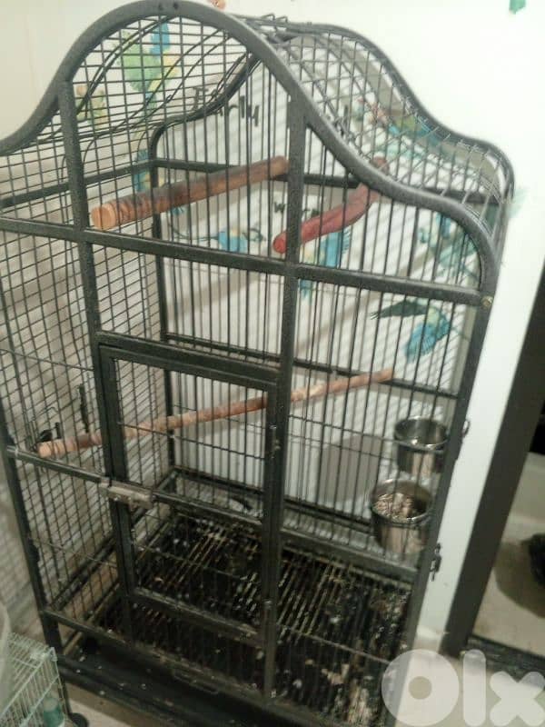 big cage for parrot 4