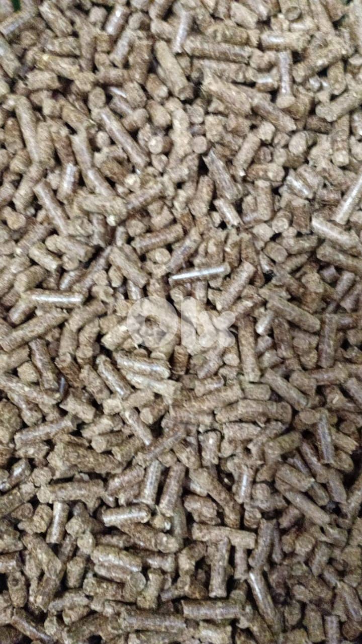 Wood Pellet Cat Litter - Catty Potty 1