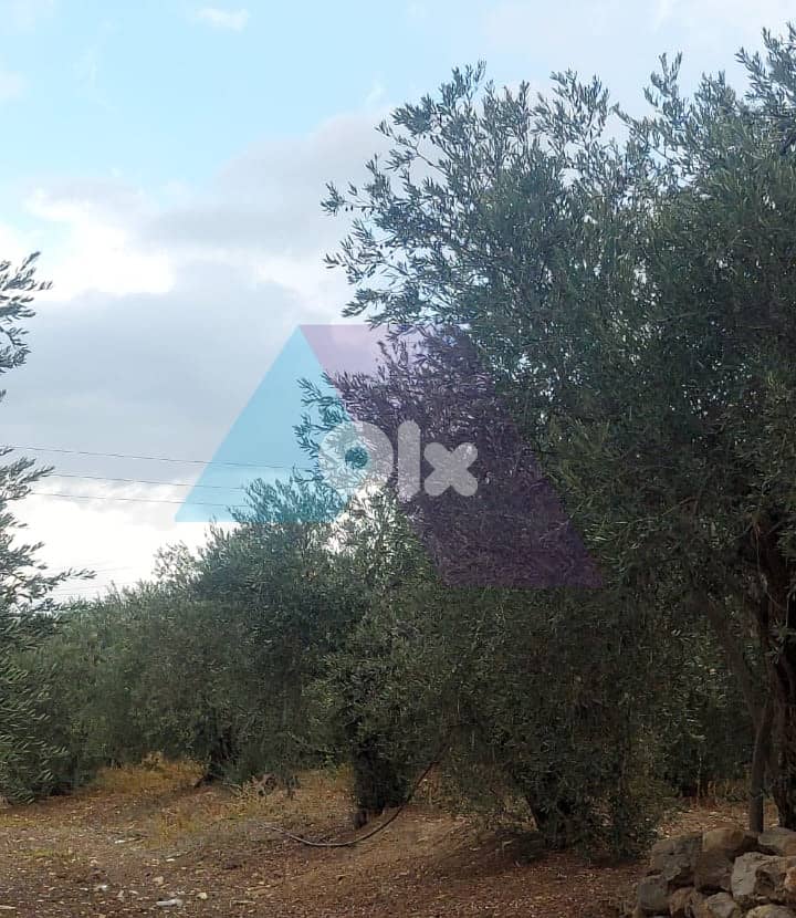 Land with Prime Location 4sale in Kousba/Koura - أرض للبيع في كوسبا 1