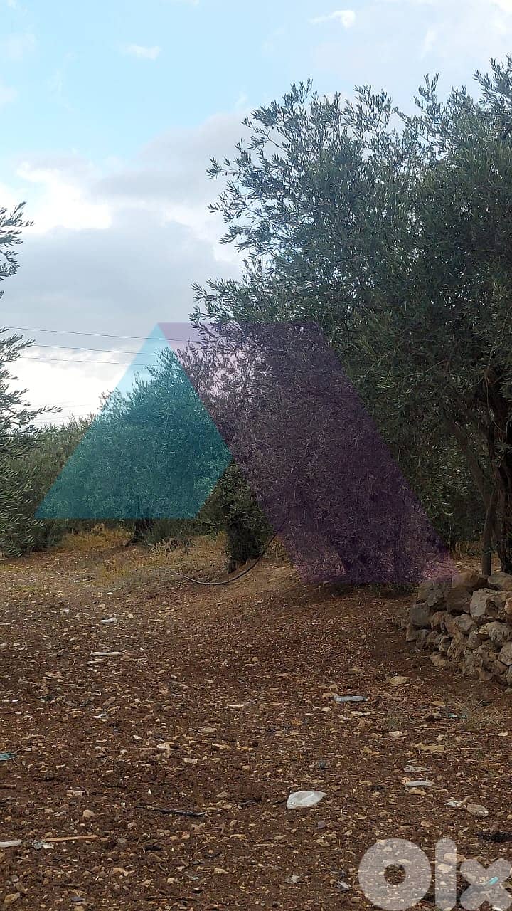 Land with Prime Location 4sale in Kousba/Koura - أرض للبيع في كوسبا 3