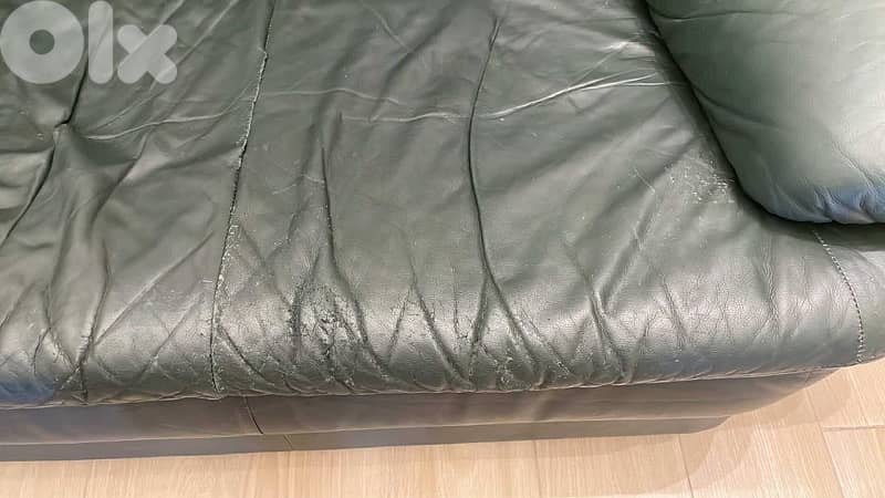 Leather Sofa 4
