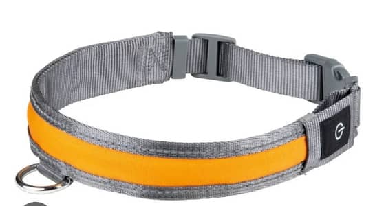 zoofari led light up dog collar