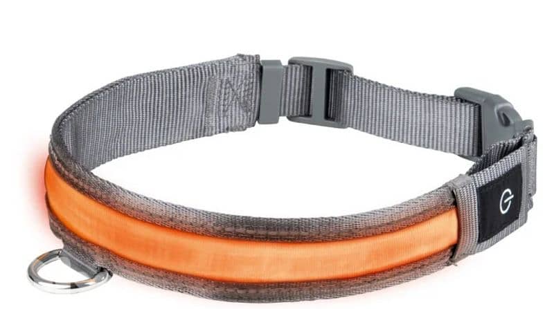 zoofari led light up dog collar 2