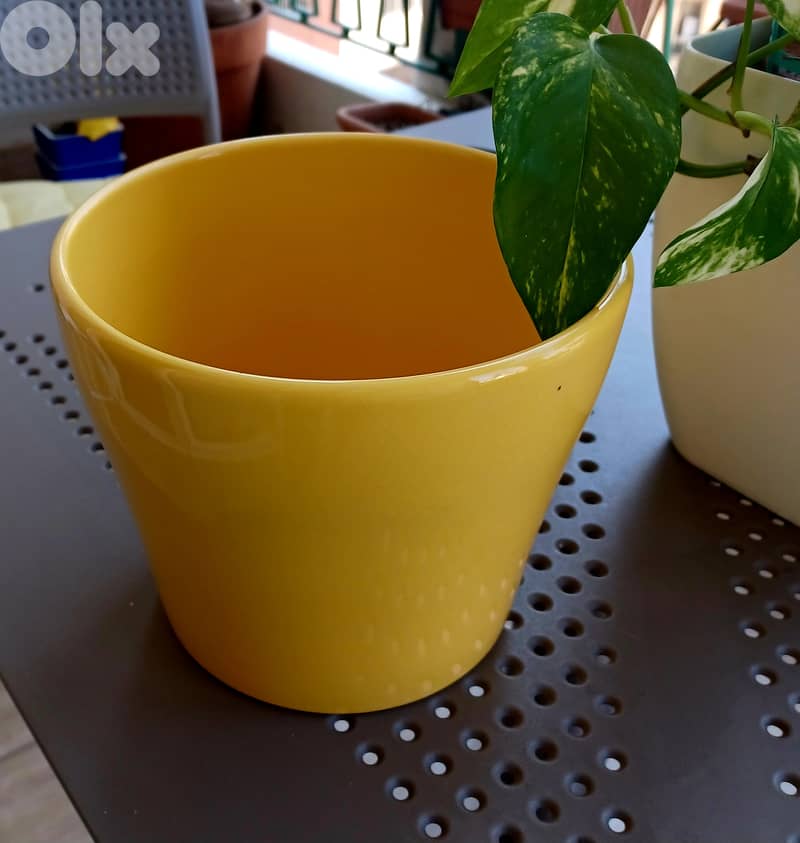 Cache pots 1