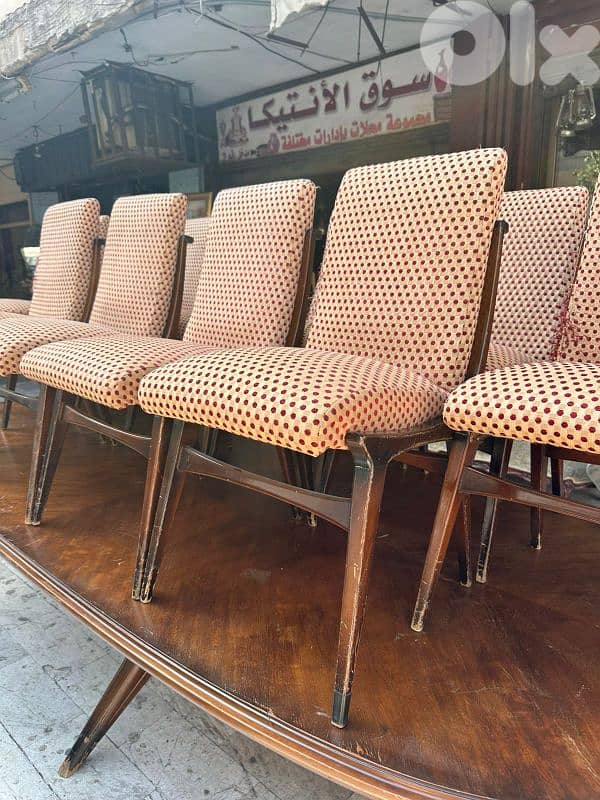 12 dining chairs 1950's كراسي سفرة خمسينات عدد ١٢ تصميم رائع 0