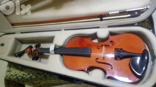 Violin 3/4