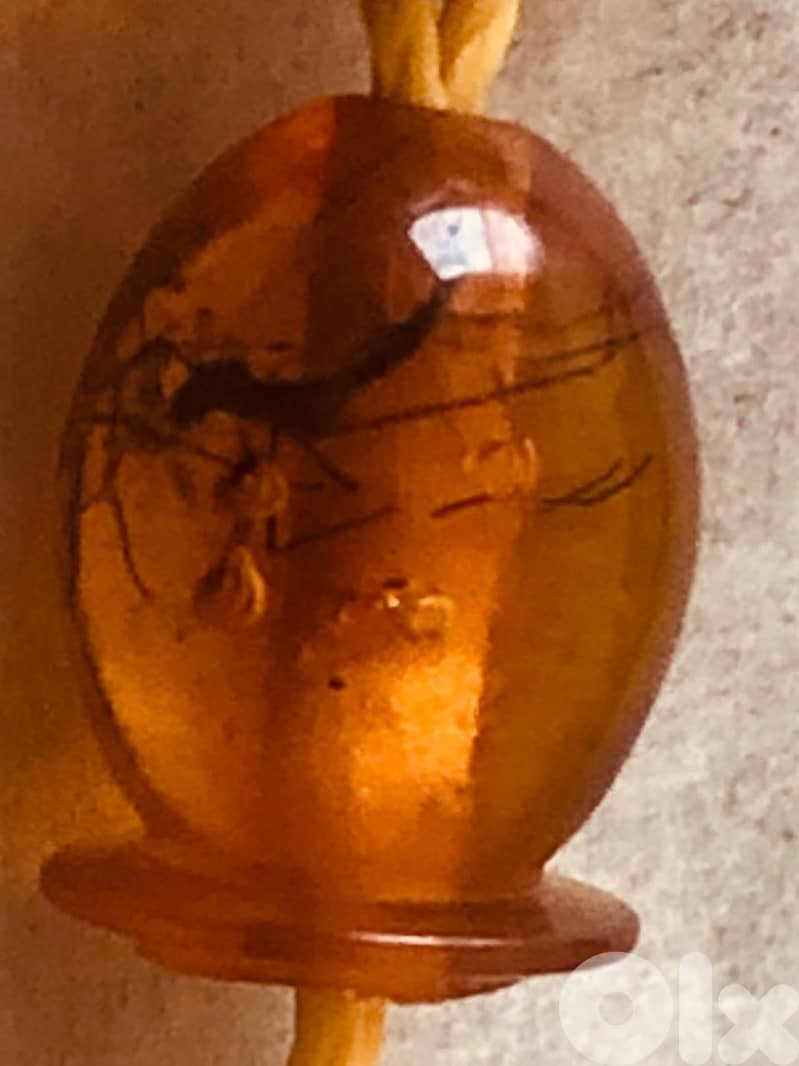 Luxury Baltic Amber Beads with Insects & 18K Gold 5g 3