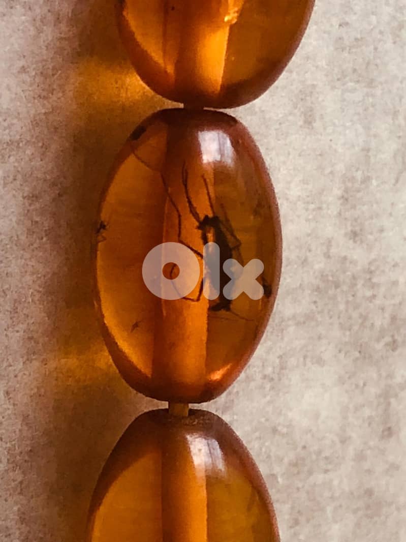 Luxury Baltic Amber Beads with Insects & 18K Gold 5g 5