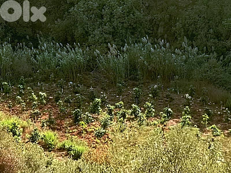 1758 SQM Land in Kfarshima, Baabda Overlooking the Mountains 0