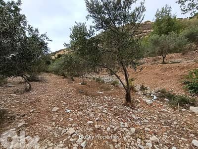 Land For SALE In Bentael أرض للبيع #ES