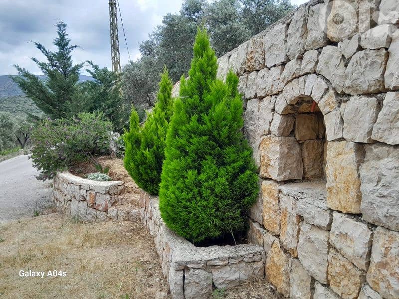 أرض مع بيت للبيع في حاصبيا land with house for sale in hasbya 6