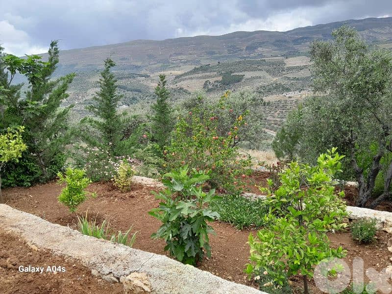 أرض مع بيت للبيع في حاصبيا land with house for sale in hasbya 7