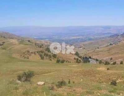 land for sale falougha hot deal