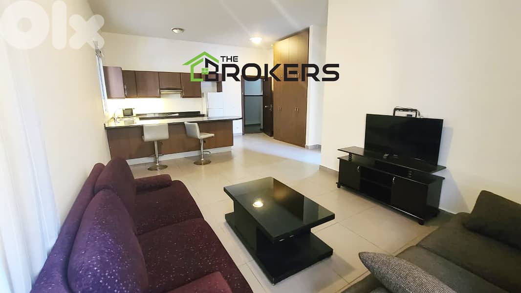 Furnished Apartment for Rent in Clemenceau 0