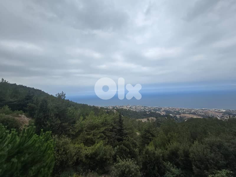 L19411 - 7,050 SQM Land For Sale in Fatqa 3