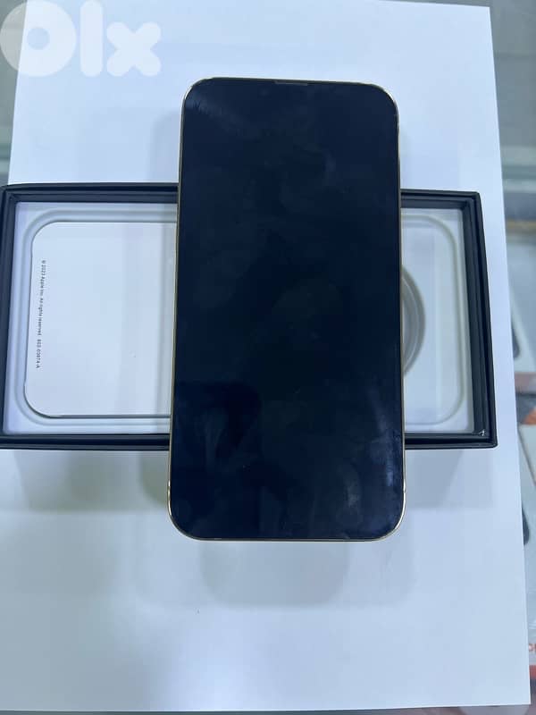 iphone 13 pro max 3