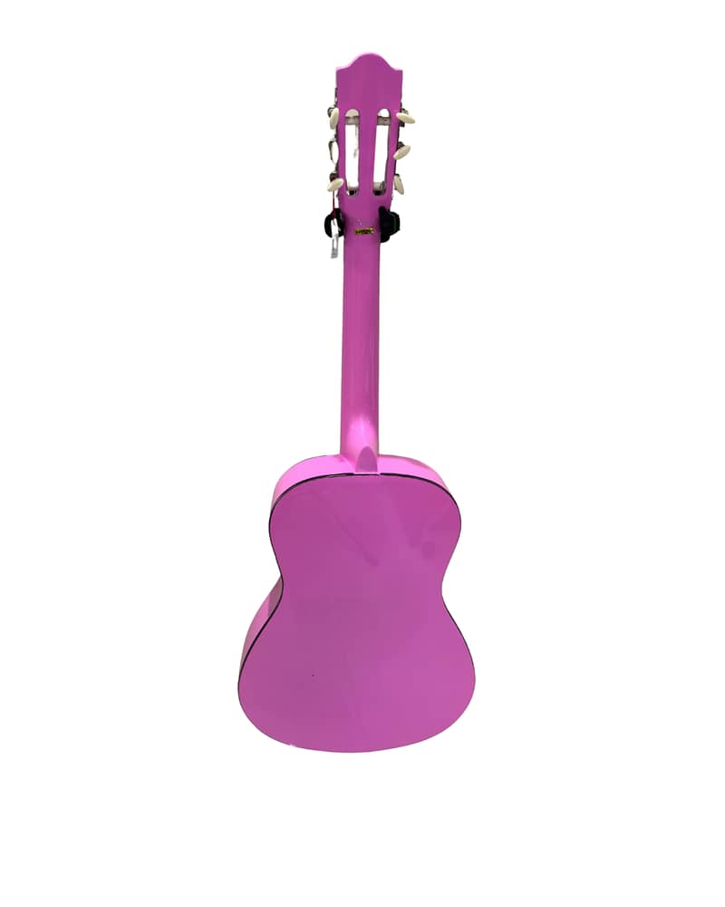 Aileen Pink Guitar 1