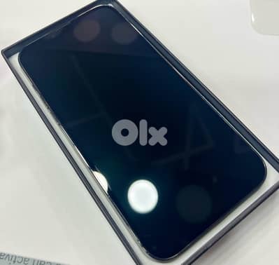 iphone 13 pro max 256GB