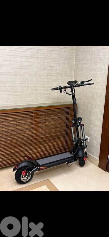 dual motor scooter
