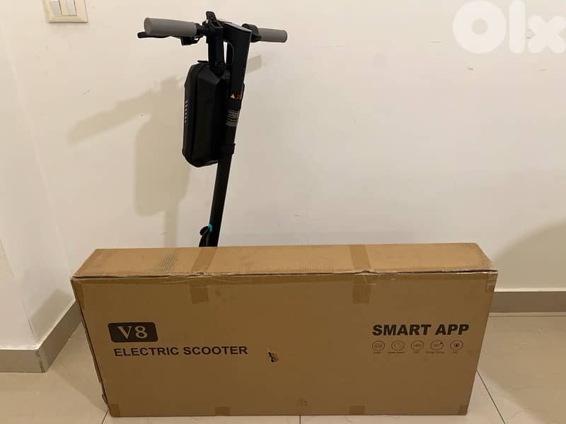 electric scooter 1