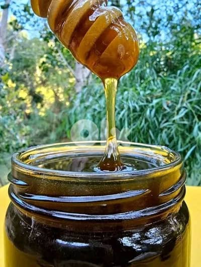 الزعرورية إقليم الخروب