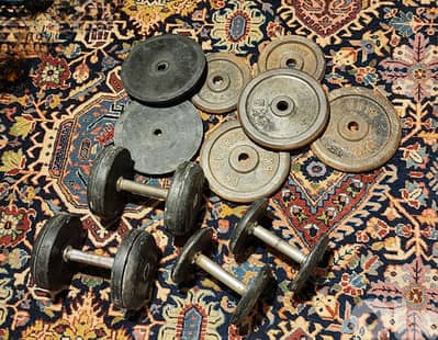 50kg weights, plates and dumbells, home gym equipments