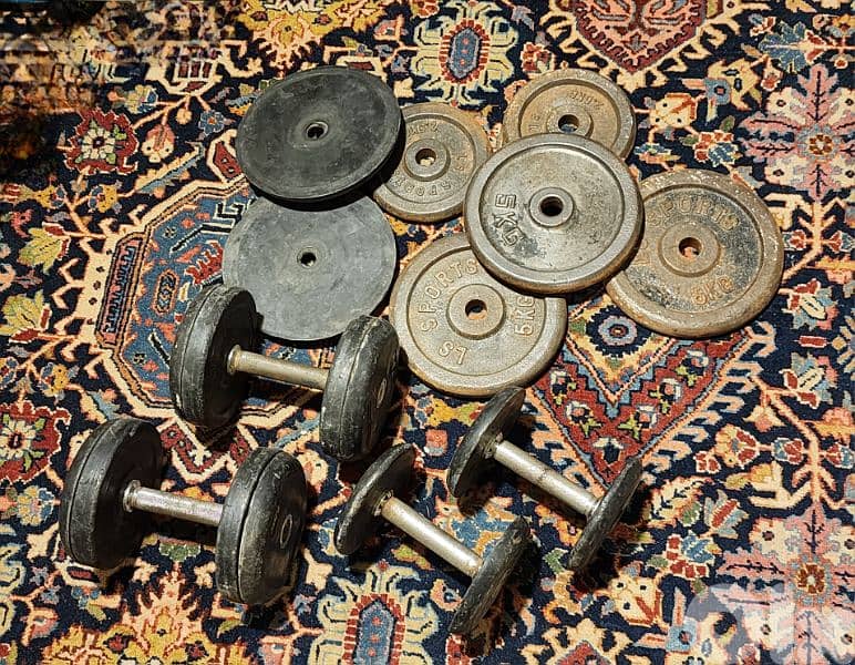 50kg weights, plates and dumbells, home gym equipments 0