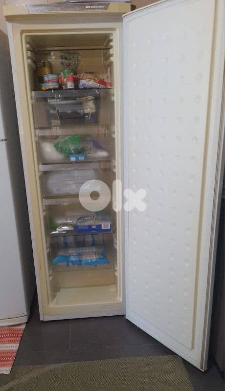 freezer campomatic 1